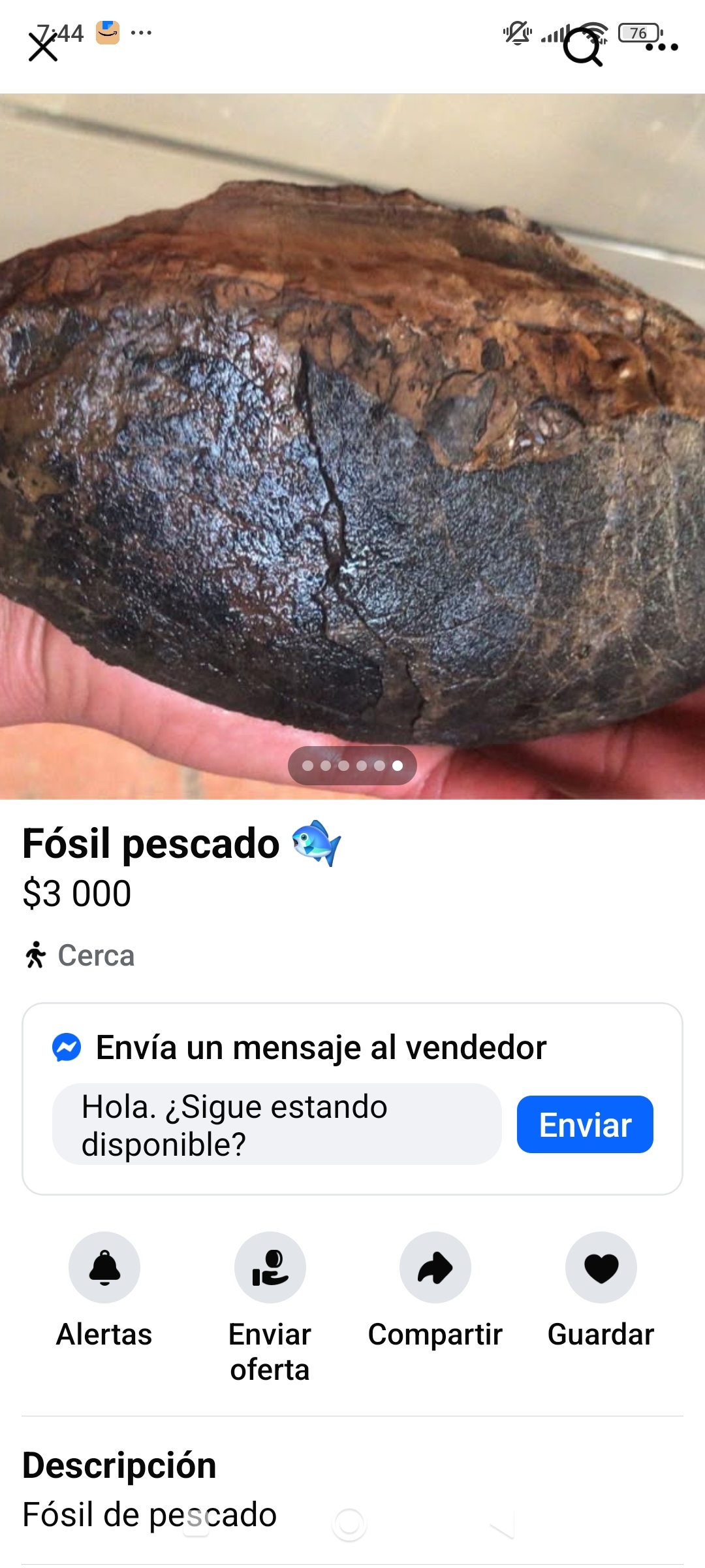 Venden fósiles en redes sociales; es delito