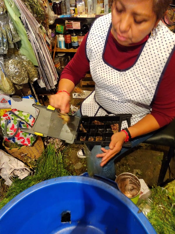 En el mercado Damián Carmona, Doña Irma atiende una hierbería desde hace años.