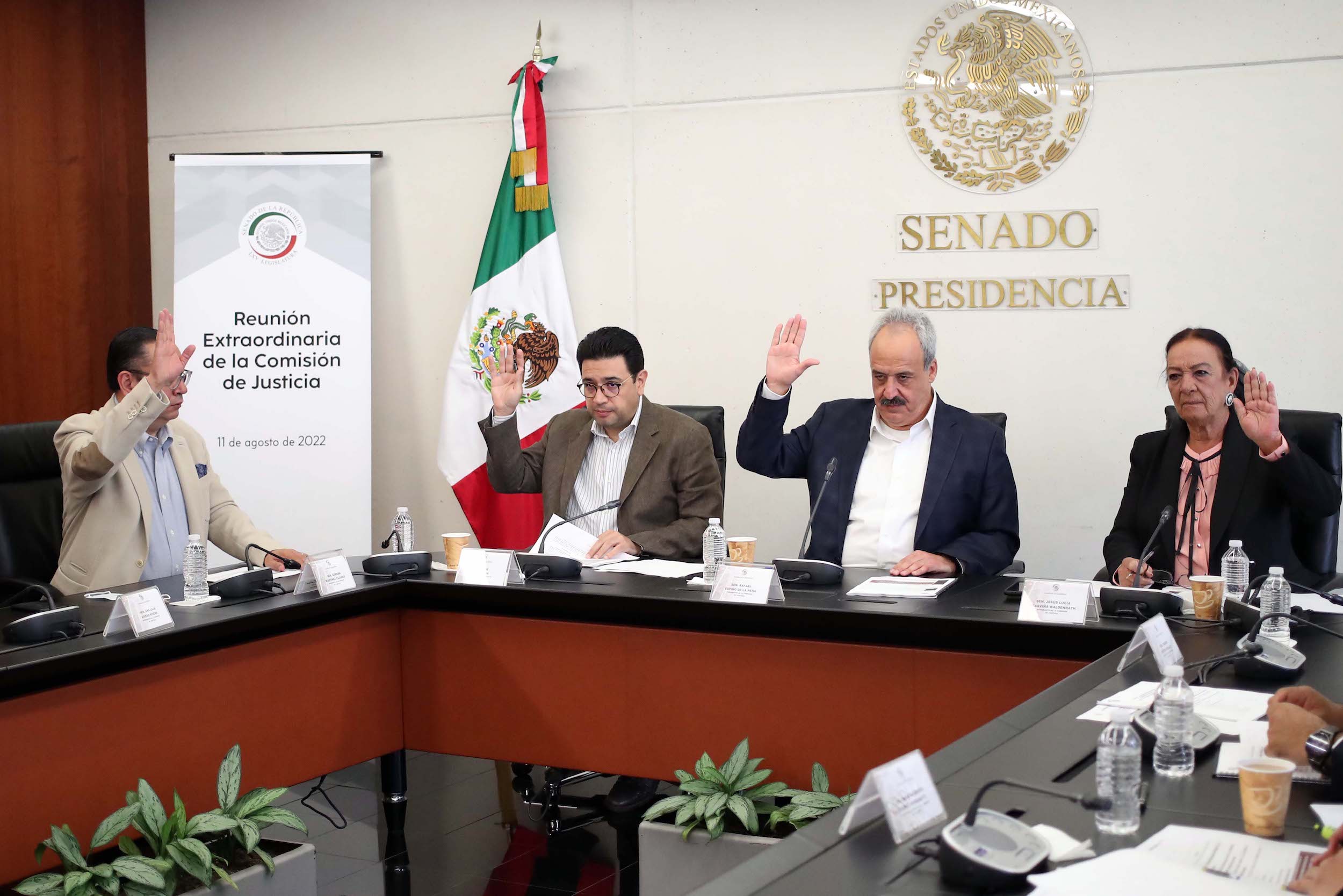 El Senado en comisiones eleva pena por tala ilegal