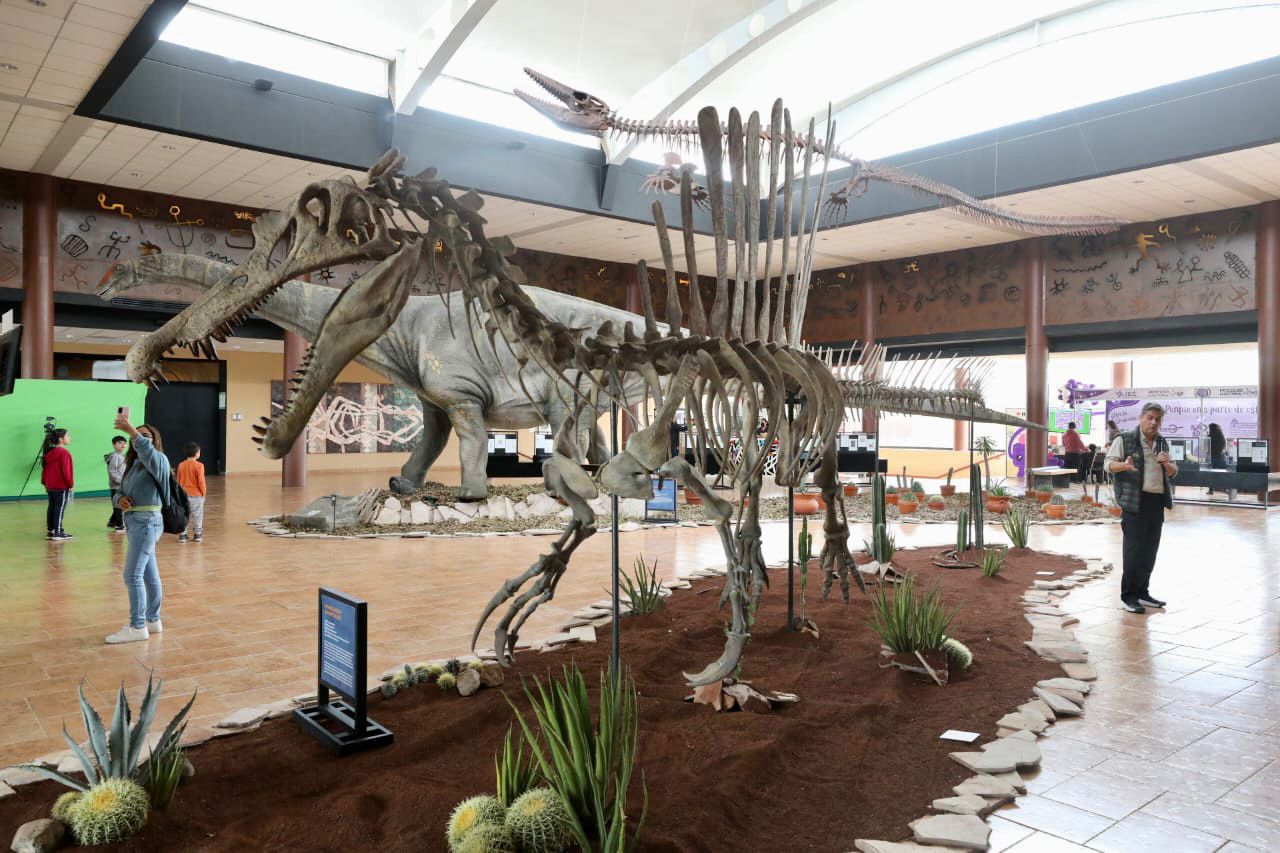 Inauguran la exposición temporal “Dinosaurios, Flora y Fauna del Desierto”