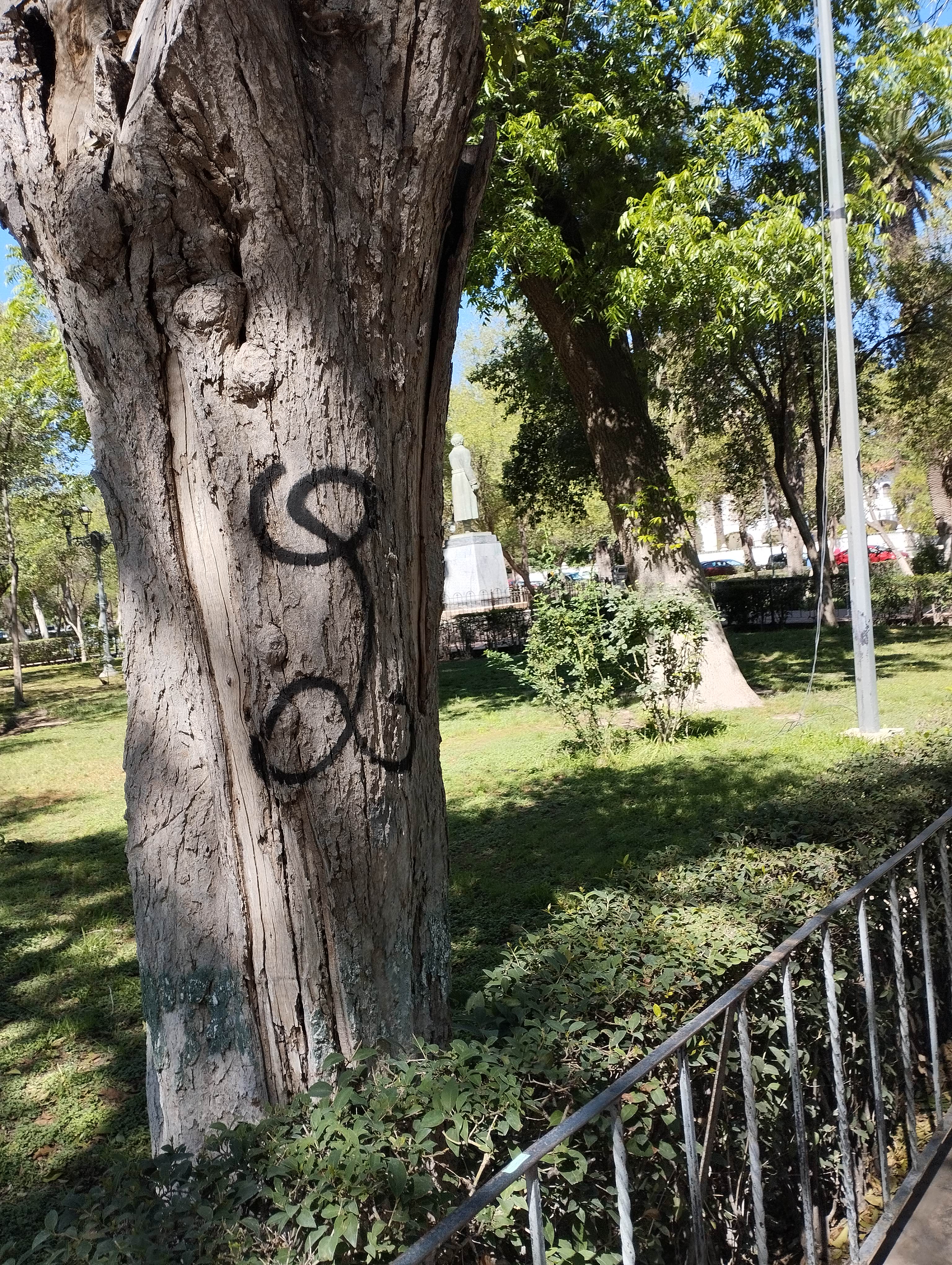 Pega grafiti hasta los árboles de la Alameda