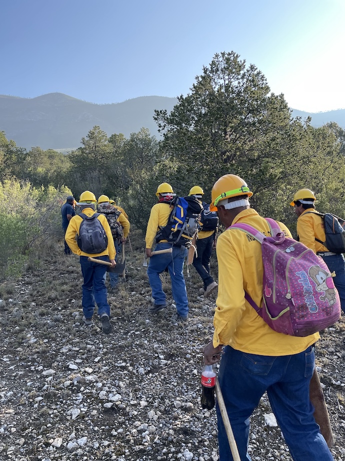 Intervención rápida ha sido clave en control de incendios