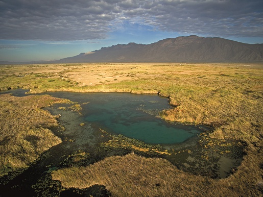 Alertan por grave crisis de agua en Cuatro Ciénegas