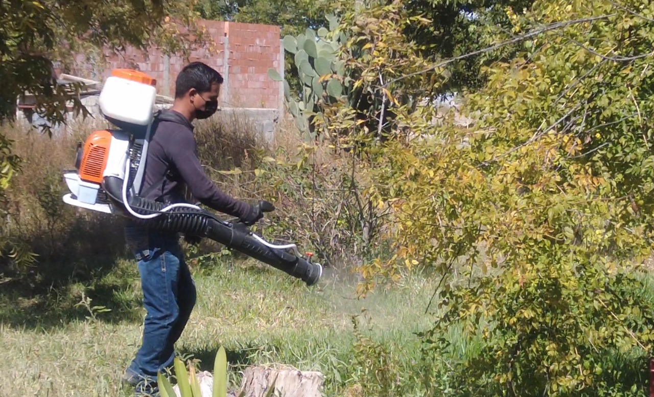 Intensifica Parras medidas contra el dengue 