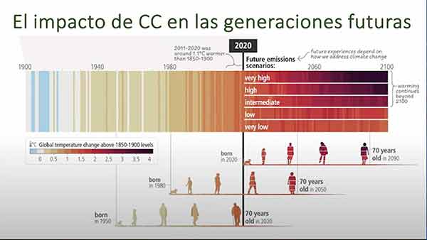 Reduce daños al planeta disminuyendo ingesta de alimentos de origen animal 