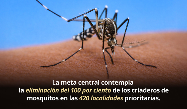 Realizarán Jornada Nacional de lucha contra el Chikungunya y el Dengue 