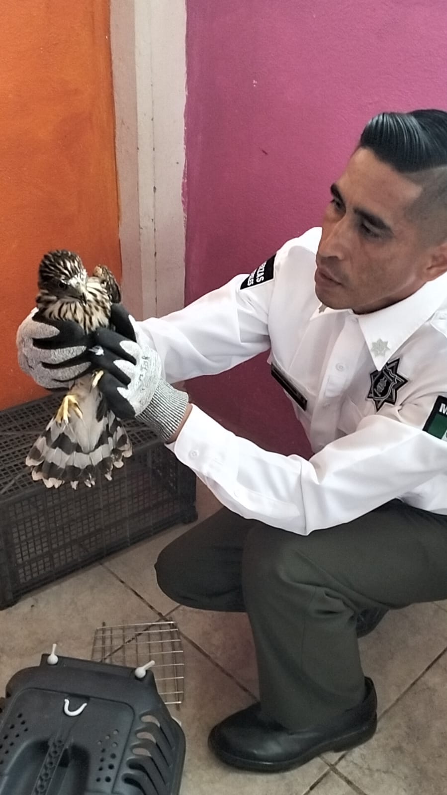 Capacitan a Policía Ambiental en manejo de vida silvestre