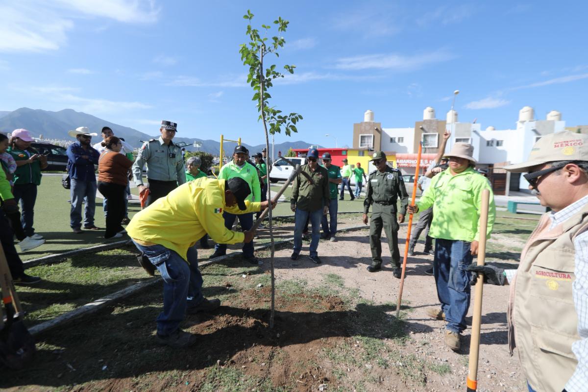 Reforestan en Jornadas por la Paz en Saltillo