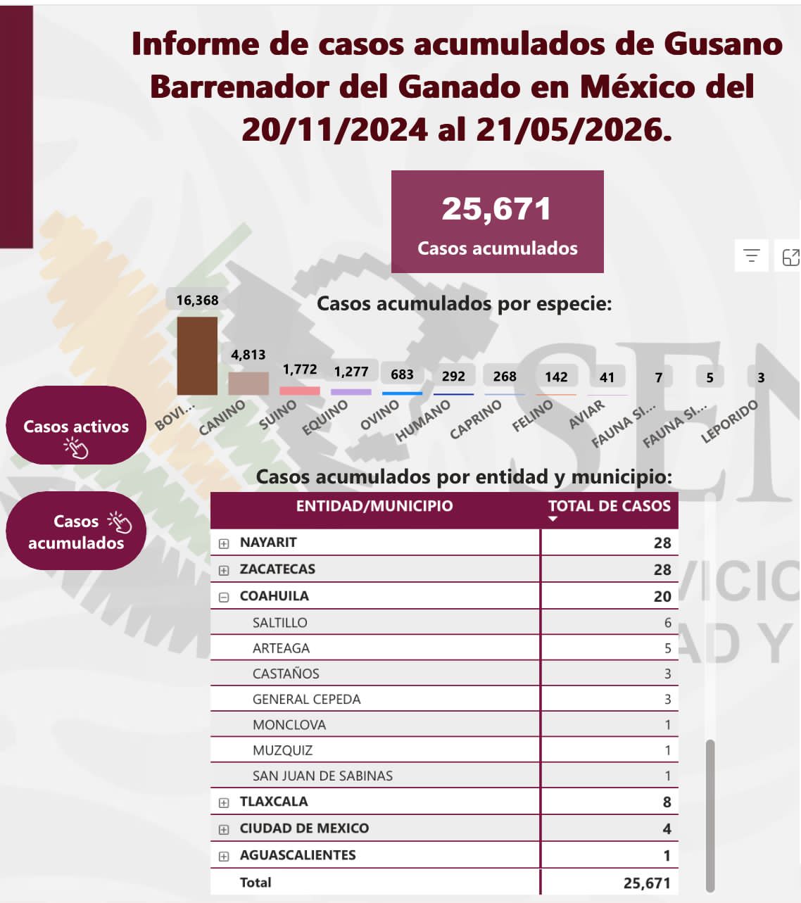 Son ya 20 positivos a barrenador en Coahuila; 15 activos