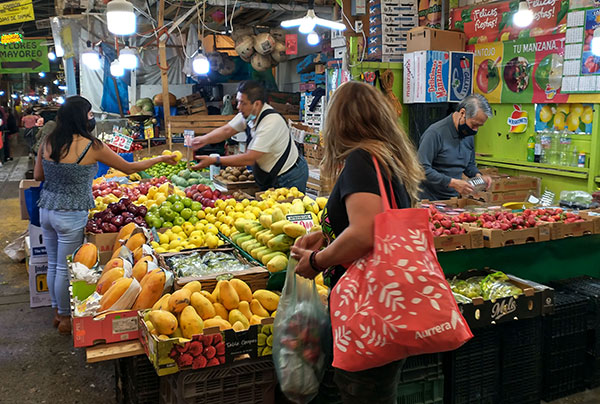 Exhortan a eficientar entrega de recursos a agricultores para revivir al ‘agro’ mexicano