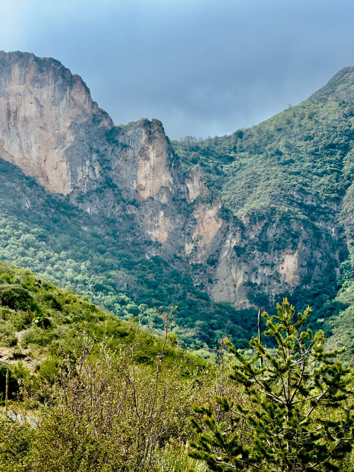 Firman convenio pro conservación de Zapalinamé Estado y Profauna