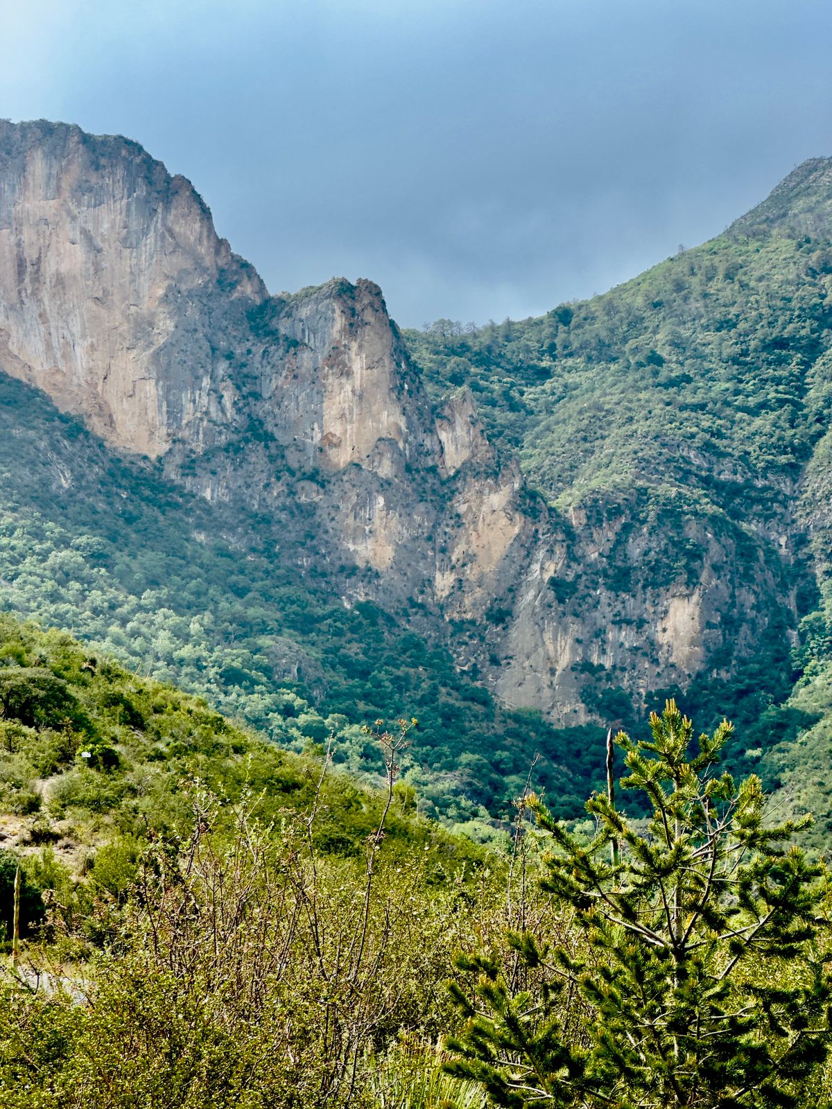 Firman convenio pro conservación de Zapalinamé Estado y Profauna 