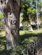 Pega grafiti hasta los árboles de la Alameda 