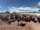 Celebran más de 350 jinetes la cabalgata General Cepeda-Parras