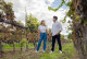Reconocen a Parras como Mejor Destino de Romance 