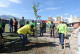 Reforestan en Jornadas por la Paz en Saltillo