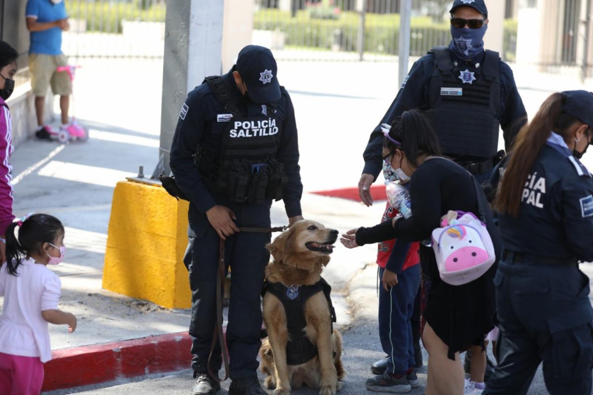 En Ruta Recreativa darán curso de Adiestramiento Civil Canino