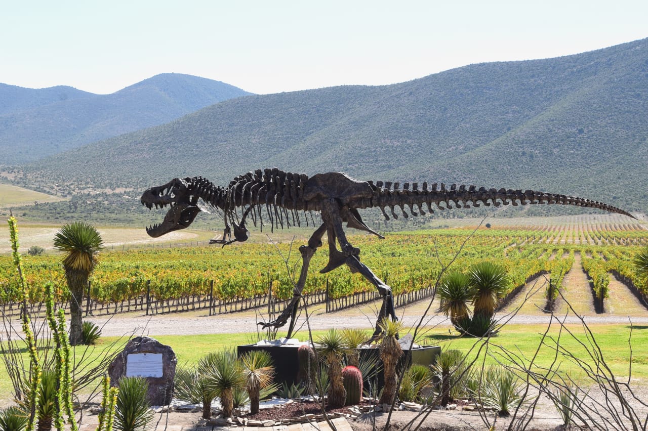 Posicionan a Vinos y Dinos entre las principales rutas enológicas de México