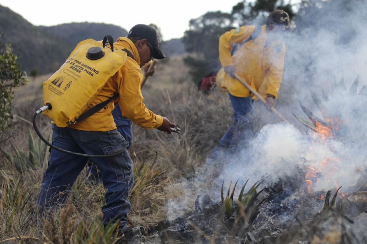 Abre Saltillo 3 centros de acopio para brigadistas forestales