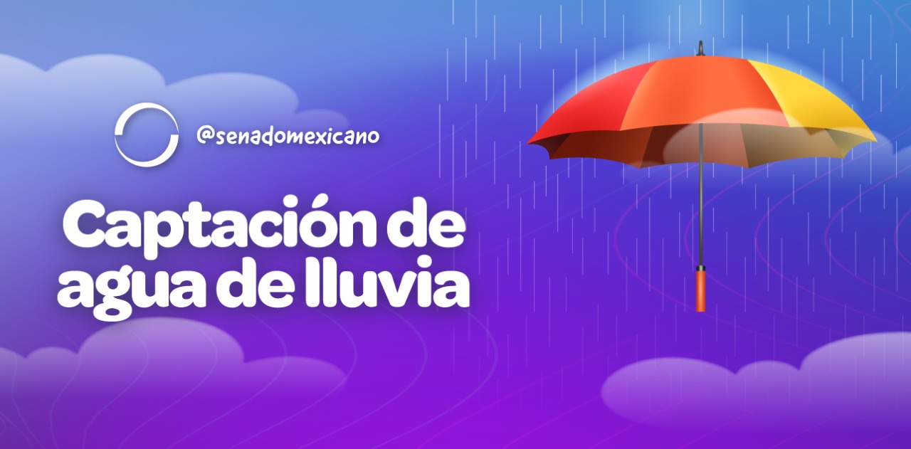 Respalda Senado proyecto para establecer sistemas de captación de agua de lluvia 