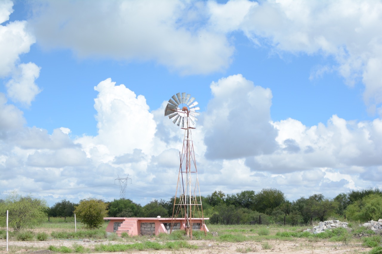 Lluvias recientes en región Centro favorecen a la agricultura