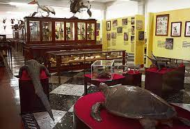 Restauran Museo de Historia Natural del Ateneo