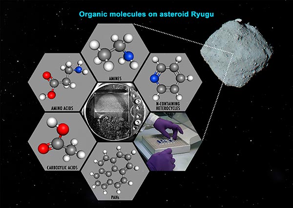 Refuerzan teoría de la panspermia en el origen de la vida planetaria