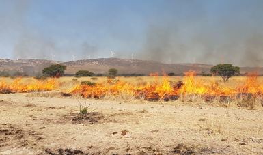 Advierte UNAM que contaminación natural repercute en calidad del aire