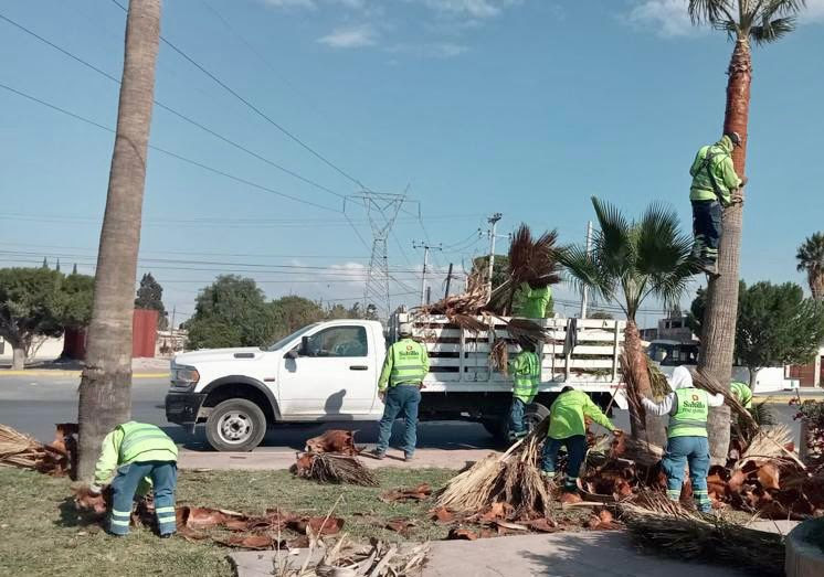 Llega programa Saltillo Me Gusta a Calzada Madero